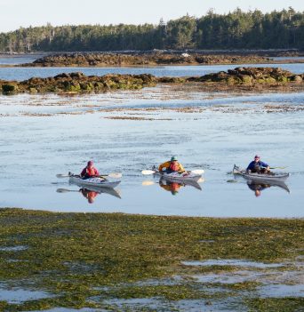 Three kayakers preparing to land on the beach in the Great Bear Rainforest