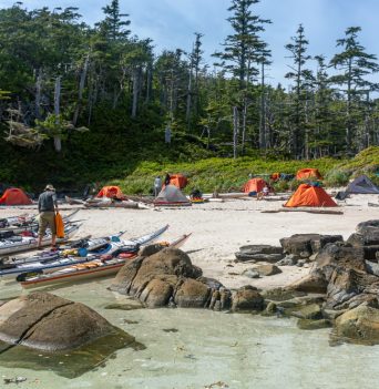 A group of orange tents set up on a beach