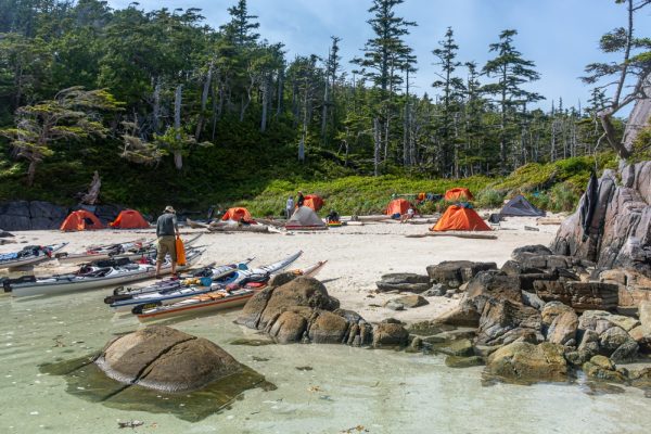 A group of orange tents set up on a beach
