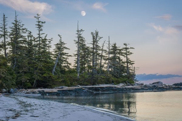 The coastline of the Great Bear Rainforest