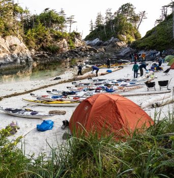 An expedition camp in the Great Bear Rainforest