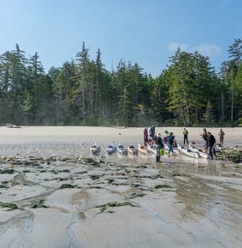 A group of kayakers getting ready to launch from a sandy beach
