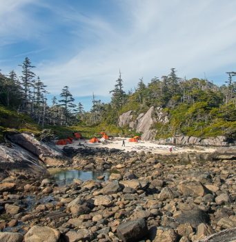 A rocky beach in the Great Bear Rainforest