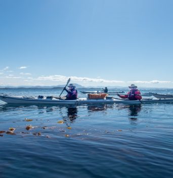 Two people paddling in a double kayak