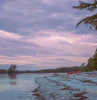 A pink sunset over a sandy beach in the Great Bear Rainforest