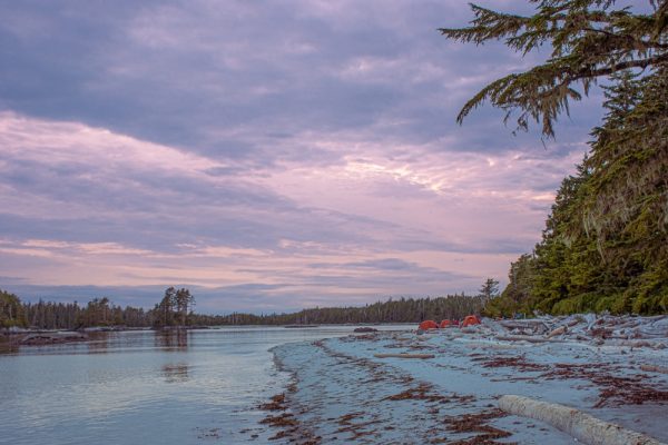 A pink sunset over a sandy beach in the Great Bear Rainforest