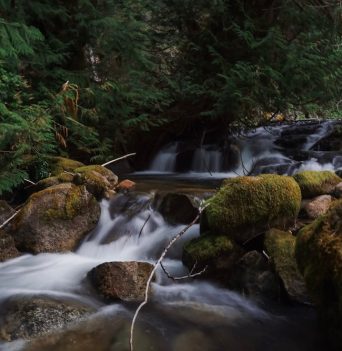 A flowing creek in the forests of Desolation Sound