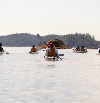 A group of paddlers kayaking in Desolation Sound