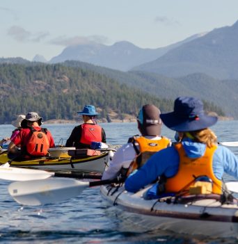 A group of kayakers taking in scenery in coastal BC