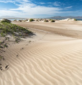Large sand dunes in Baja Mexico