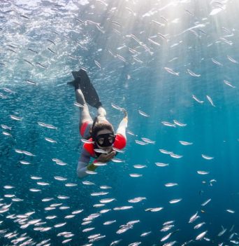A woman snorkelling through a school of fish in Baja Mexico