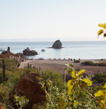 Tents on a sandy beach in Baja