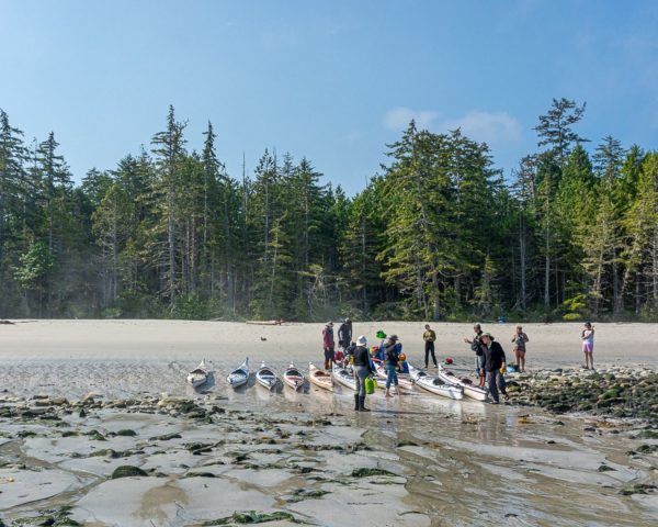 A group of expedition kayakers preparing for their launch from a sandy beach