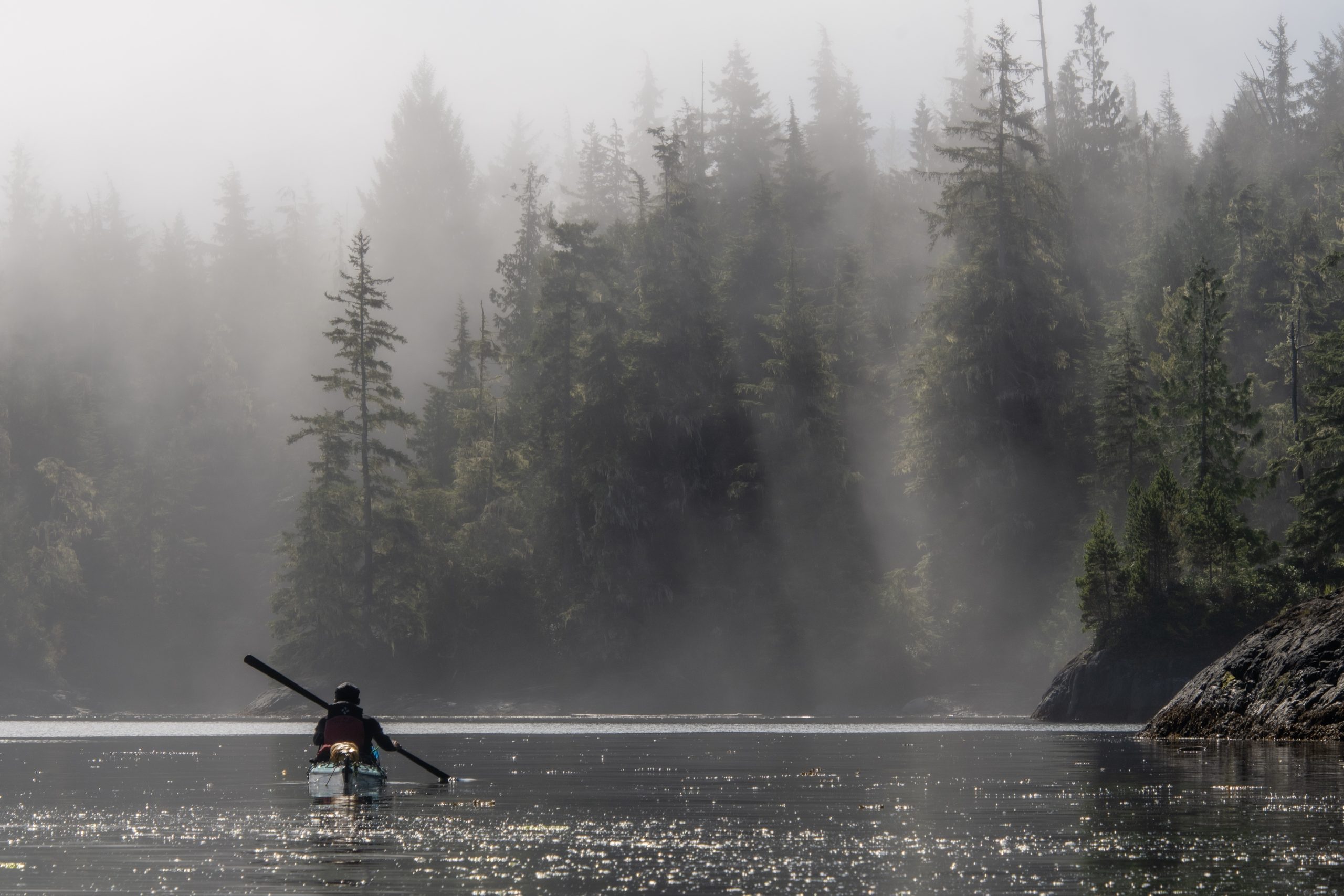 Kayaker paddling through the mist in Coastal BC