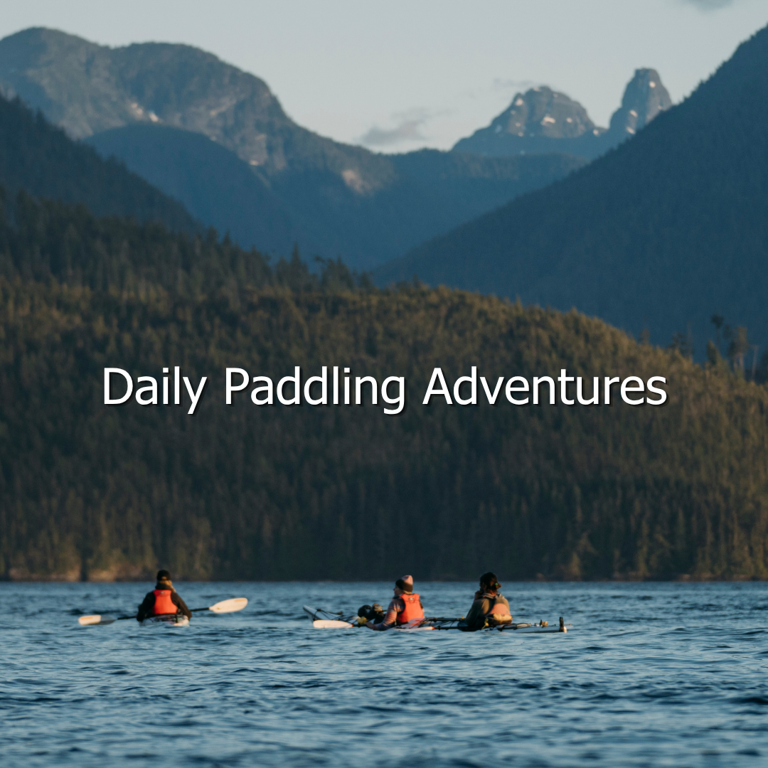 Paddlers in front of mountain landscape.