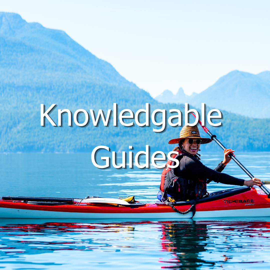 Sea kayak guide